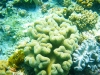 great-barrier-reef-10-small