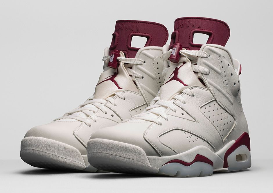 jordan 6 with nike air on back